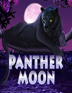 วิธีใช้รหัส ทดลอง เล่น sbobet เล่นสล็อตให้มันส์